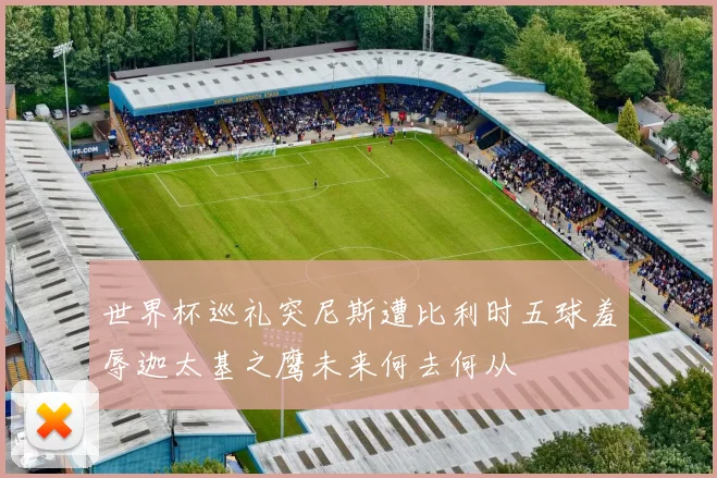 世界杯巡礼突尼斯遭比利时五球羞辱迦太基之鹰未来何去何从