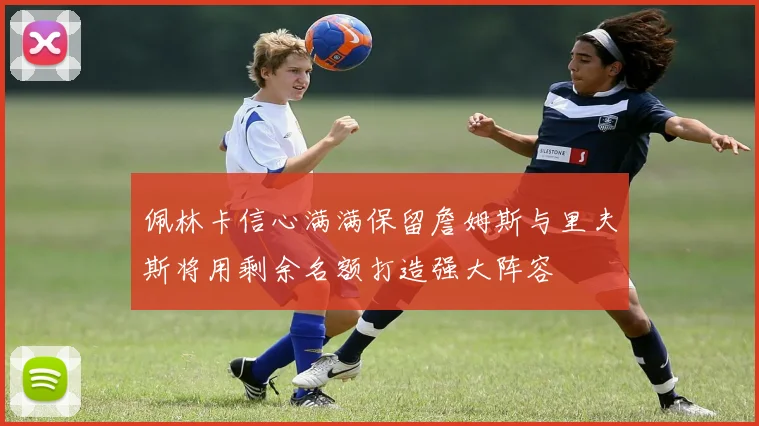 佩林卡信心满满保留詹姆斯与里夫斯将用剩余名额打造强大阵容