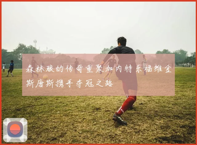 森林狼的传奇重聚加内特乐福维金斯唐斯携手夺冠之路